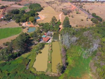 Pesque e Pague em Araguari